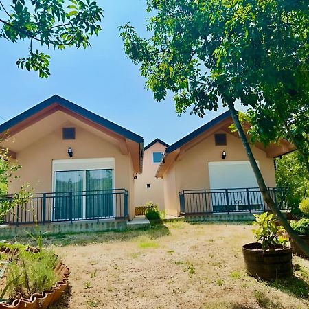 S&M Apartments Rijeka Crnojevića エクステリア 写真