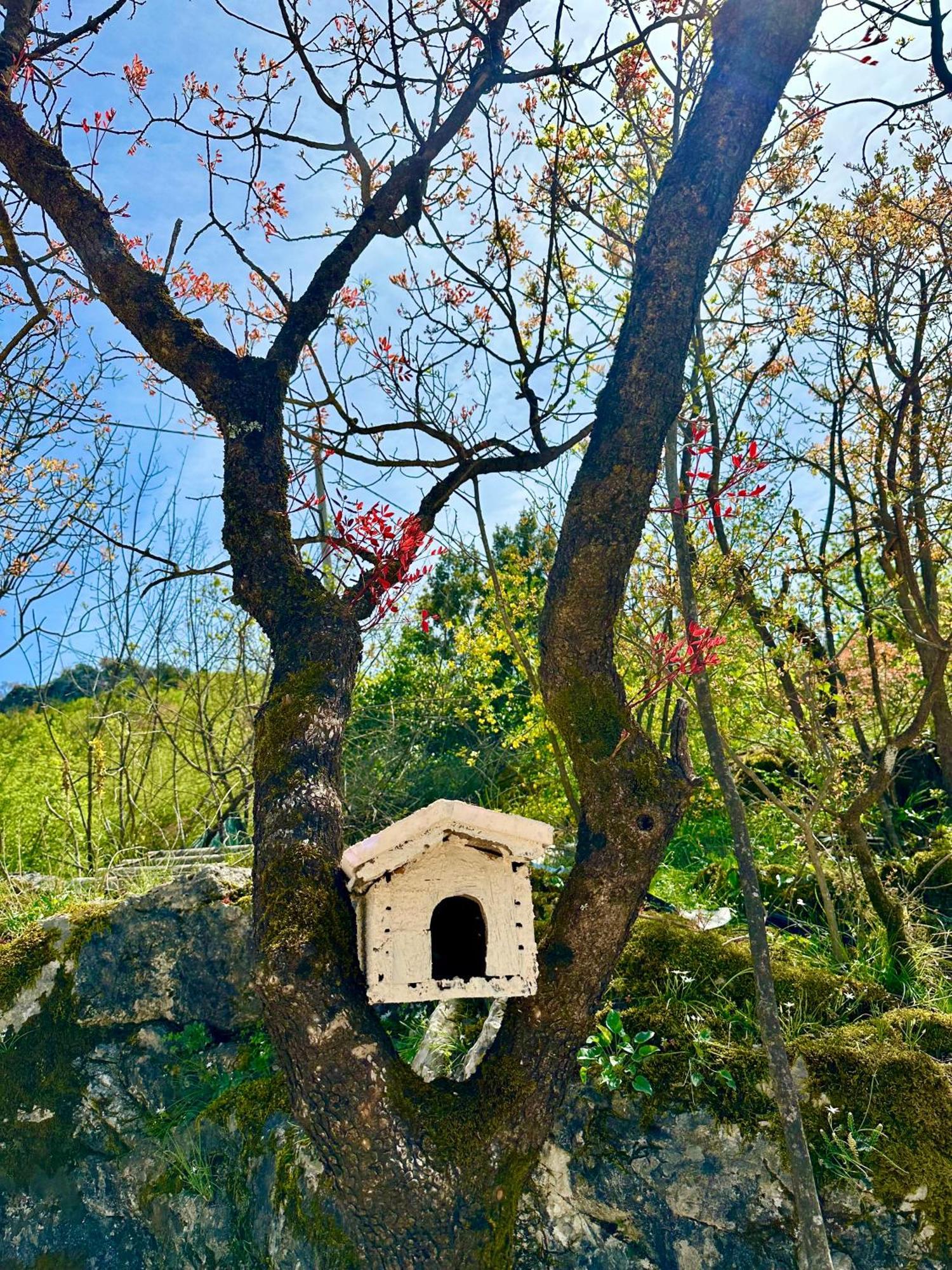 S&M Apartments Rijeka Crnojevića エクステリア 写真