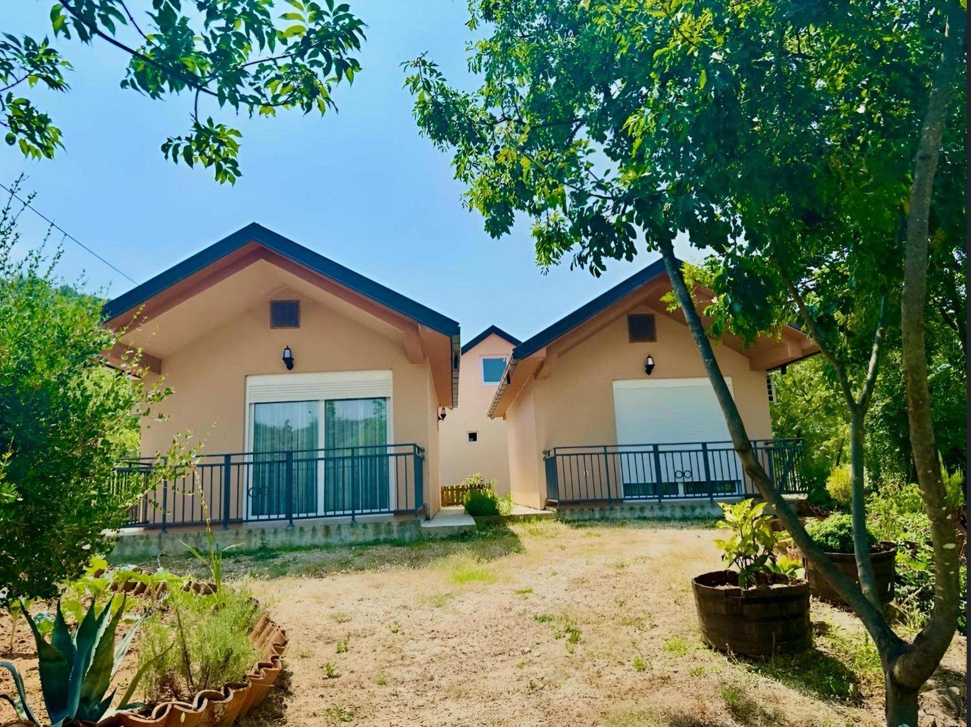 S&M Apartments Rijeka Crnojevića エクステリア 写真